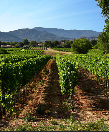 Rhone Valley