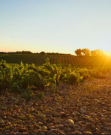 Rhone Valley